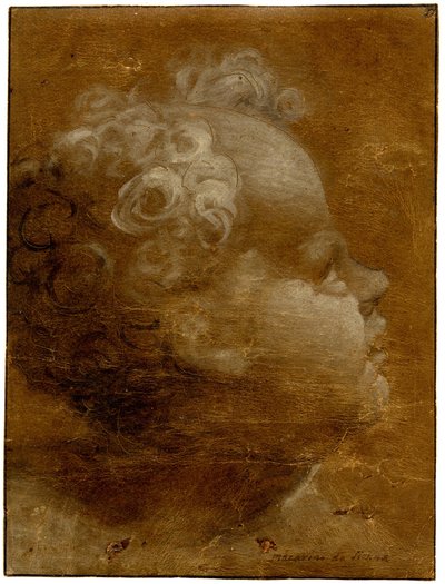  by Domenico Beccafumi