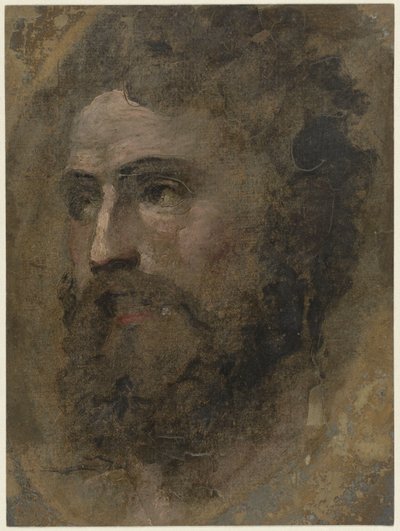 Kıvırcık saçlı adamın başı, solda by Domenico Beccafumi