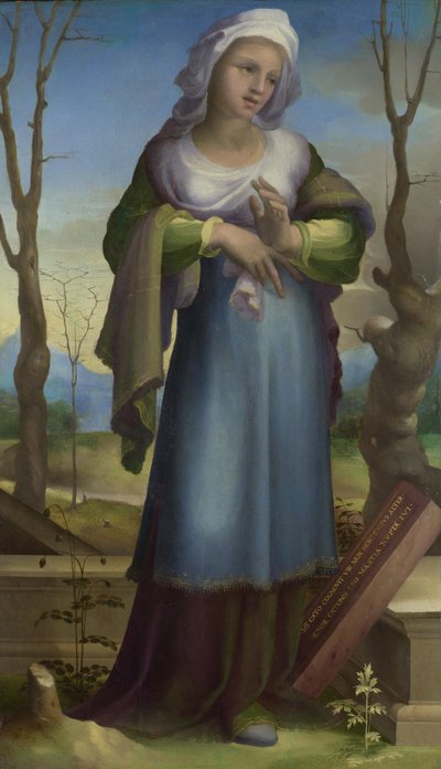 Mart, ç. 1519 by Domenico Beccafumi