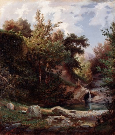 Doğa manzarası, çalılar ve şelaleli dere Resim Domenico Cambiaso (1811-1894) yaklaşık 1865 Dim 43,5x37 cm Genes, Galleria d