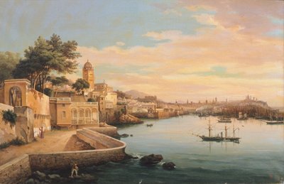 Palazzo Doria Pamphilj'in bahçelerinden Cenova'nın görünümü, Pasquale Domenico Cambiaso (1811-1894), İtalya by Domenico Cambiaso