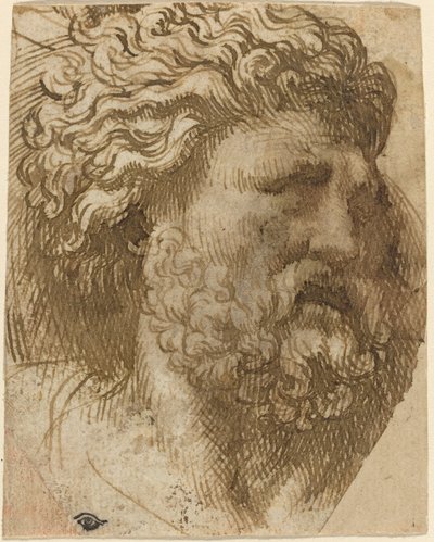 Bir Adamın Başı by Domenico Campagnola