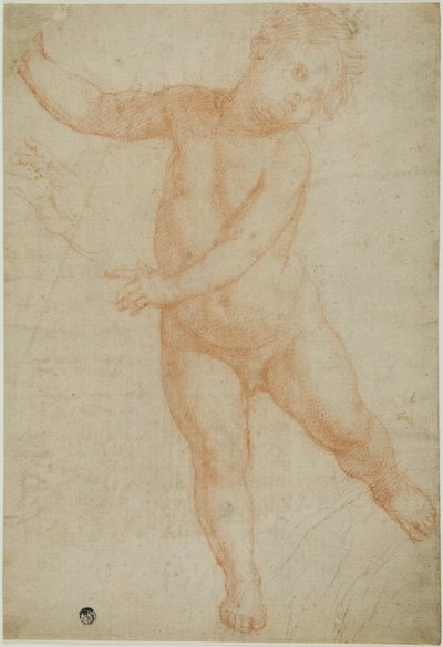  by Domenico Cresti