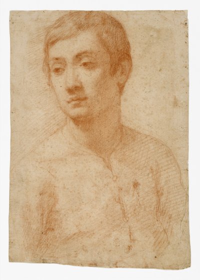 Bir Gençlik Başkanı, c.1600-25 (döşemeli kağıt üzerine kırmızı tebeşir) by Domenico Cresti