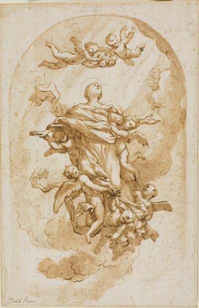  by Domenico Piola