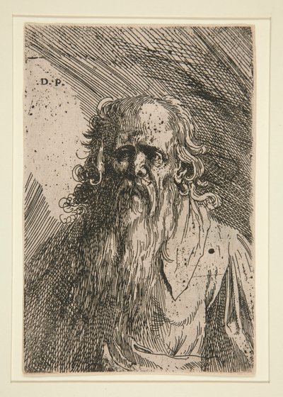 Sakallı Yaşlı Adam by Domenico Piola