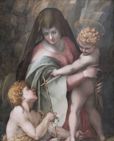 Madonna ve Çocuk, Genç St John, Domenico Puligo ile birlikte (panel üzerine yağlıboya) by Domenico Puligo