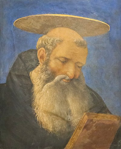 Tonlu, sakallı bir azizin başı, 1440-44 dolayları (ahşap üzerine tempera) by Domenico Veneziano