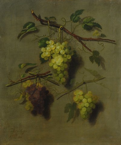 Natürmort, 1738 by Dominicus Van der Smissen
