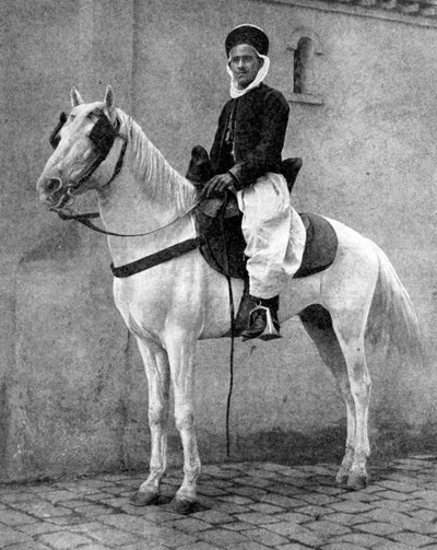 Fransız Ordusu
