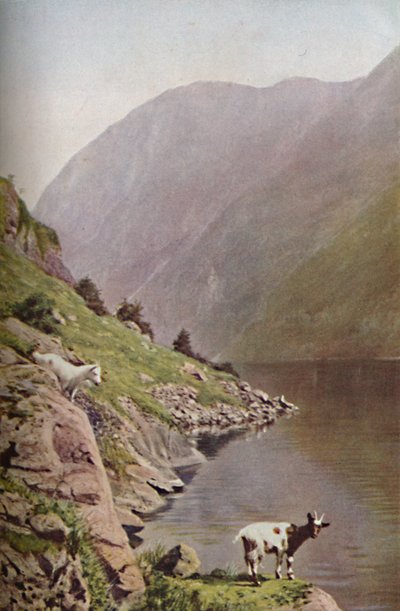 Norveç, c1930