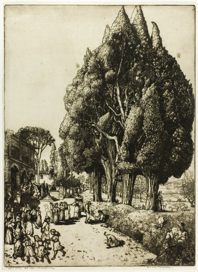selvi korusu by Donald Shaw MacLaughlan