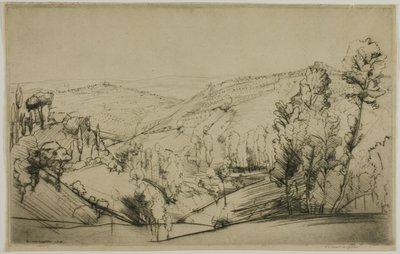 San Gimignano Tarlaları by Donald Shaw MacLaughlan