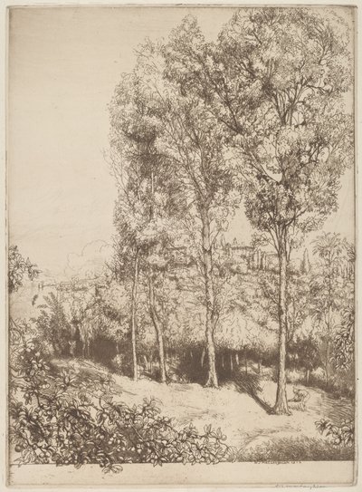 Güneş Işığı ve Gölgeler, No. 3 by Donald Shaw MacLaughlan