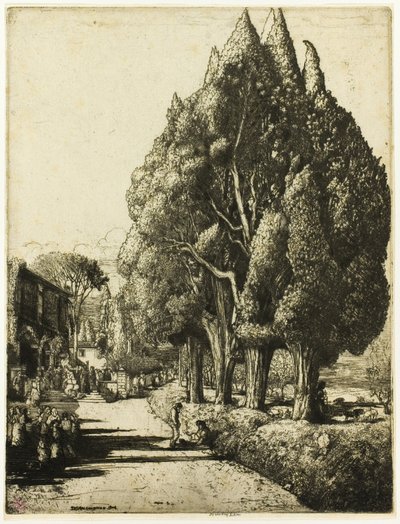 Selvi Korusu by Donald Shaw MacLaughlan