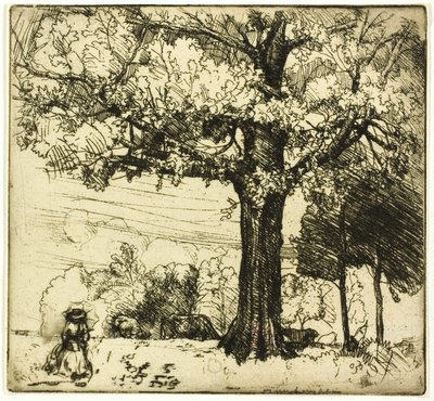 Büyük Meşe by Donald Shaw MacLaughlan