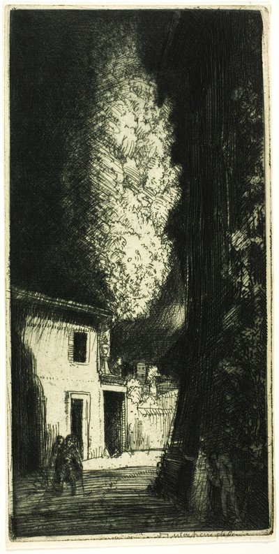 Perili ev by Donald Shaw MacLaughlan
