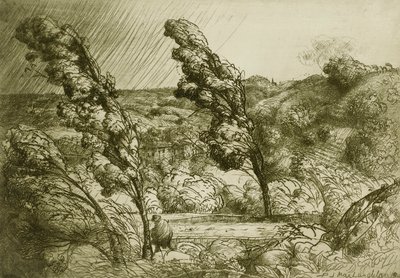  by Donald Shaw MacLaughlan