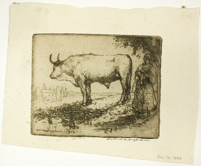 Beyaz Öküz by Donald Shaw MacLaughlan