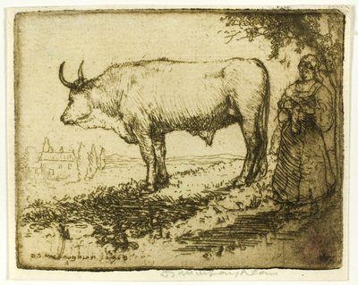 Beyaz Öküz by Donald Shaw MacLaughlan