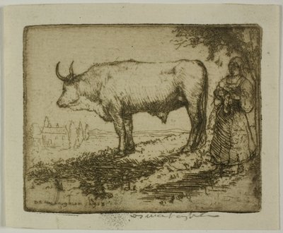 Beyaz Öküz by Donald Shaw MacLaughlan