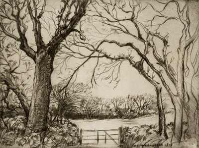  by Donald Shaw MacLaughlan