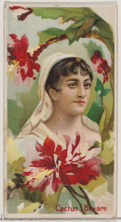 Kaktüs: Dikkat, Duke sutyen için Floral Beauty and Language of Flowers N75 serisinden..., 1892. by Donaldson Brothers