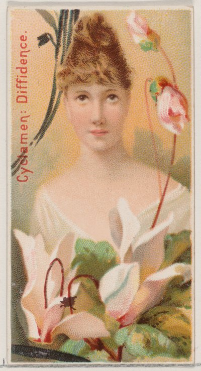 Siklamen: Fark, Du..., 1892 için Çiçek Güzellikleri ve Çiçeklerin Dili N75 serisinden. by Donaldson Brothers