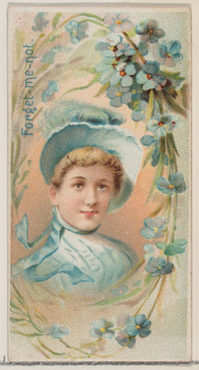 Unutma Beni, Duke bran için Çiçek Güzelleri ve Çiçeklerin Dili N75 serisinden..., 1892. by Donaldson Brothers