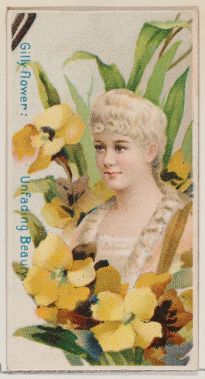 Gilly-flower: Solmayan Güzellik, Çiçek Güzelleri ve Çiçeklerin Dili N7..., 1892 serisinden. by Donaldson Brothers