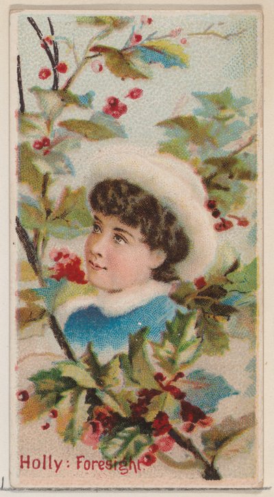 Holly: Öngörü, Duke b..., 1892 için Floral Beauty and Language of Flowers N75 serisinden. by Donaldson Brothers
