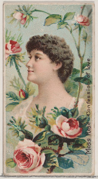 Moss Rose: Aşkın İtirafı, Çiçek Güzellikleri ve Çiçeklerin Dili N7..., 1892 serisinden. by Donaldson Brothers
