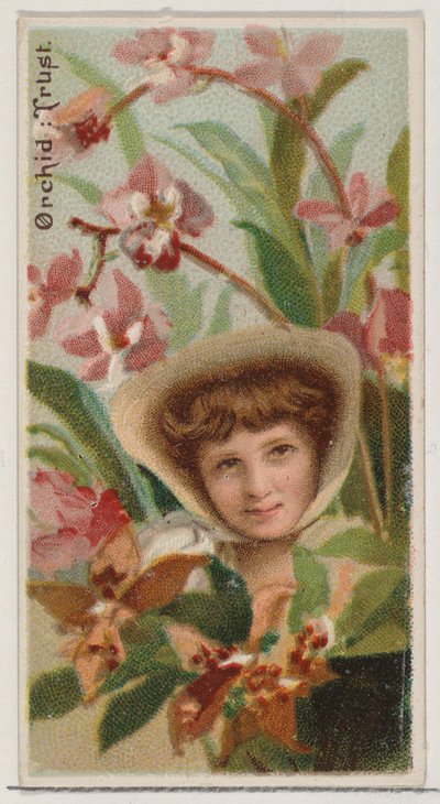 Orkide: Güven, Duke bran için Floral Beauty and Language of Flowers N75 serisinden..., 1892. by Donaldson Brothers