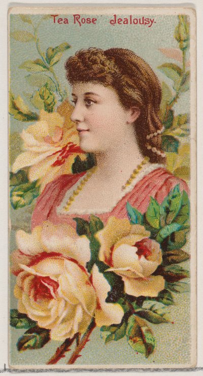 Çay Gülü: Kıskançlık, Duke için Çiçek Güzelleri ve Çiçeklerin Dili N75 serisinden..., 1892. by Donaldson Brothers