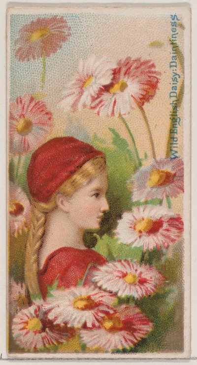 Wild English Daisy: Daintiness, Floral Beauty and Language of Flowers N..., 1892 serisinden. by Donaldson Brothers