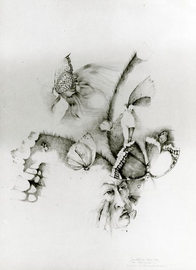  by Donatella Merlo