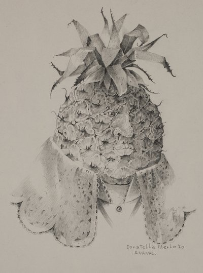 Ananas by Donatella Merlo