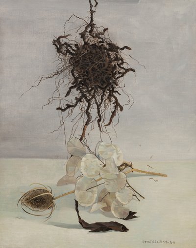 Kök by Donatella Merlo