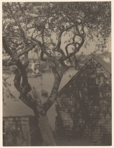  by Doris Ulmann