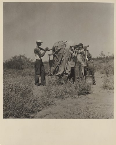  by Dorothea Lange