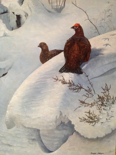 Karda Orman Tavuğu, c.1985 (tuval üzerine yağlıboya) by Douglas Anderson