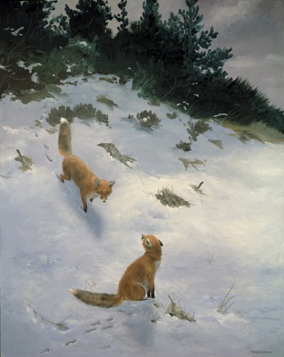 İlk Görüşte Aşk, Karda Tilkiler by Douglas Anderson