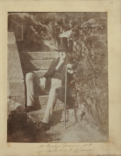 Bay Evelyn Denison by Dr. John Adamson