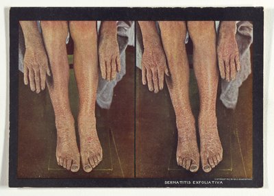  by Dr. Selden I. Rainforth