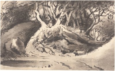 Ormanlık Peyzaj by Dr. Thomas Monro