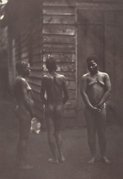  by Désiré Charnay