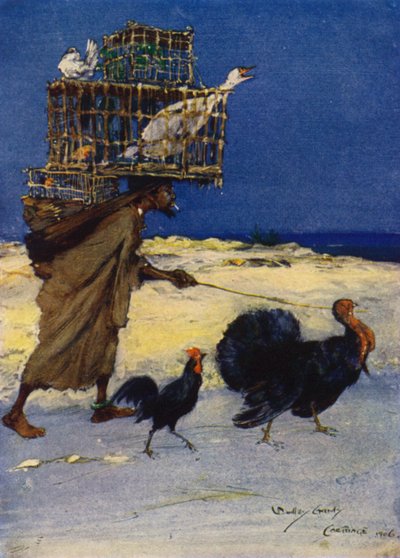 Kuş Meraklısı, Kartaca, Tunus by Dudley Hardy