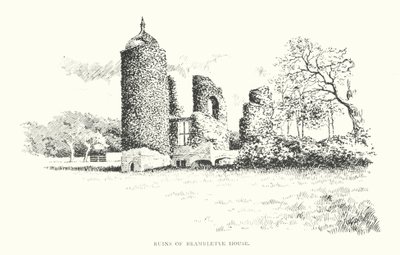 Brambletye Evi