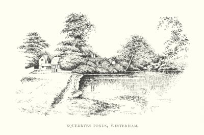 Squerryes Göletleri, Westerham (lito) by Duncan Moul