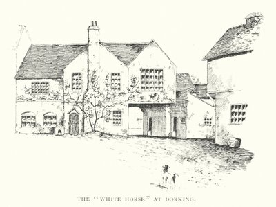 Dorking